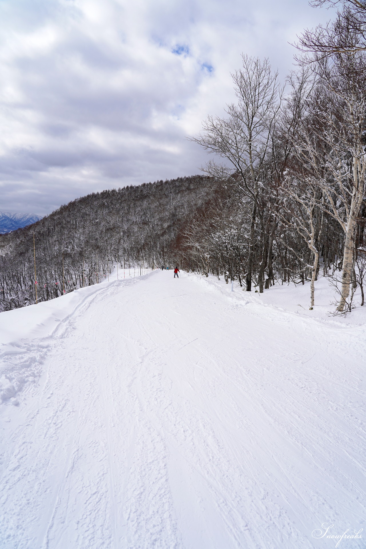 札幌藻岩山スキー場 ゲレンデの積雪は今季最深の125cm！コンディション良好で素晴らしいスキー日和に♪